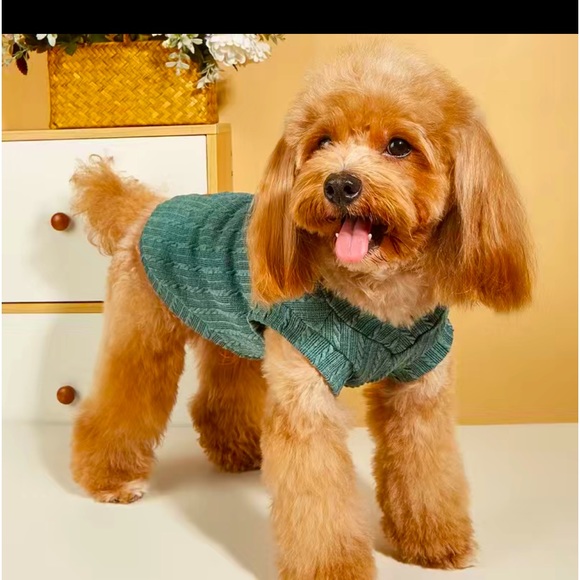 Green Dog Sweater - Picture 5 of 6